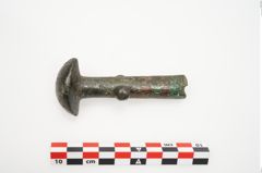 Foto von Bronzeortband (NHMW-PRAE-025457)